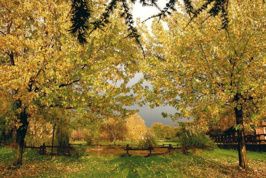 Agriturismo Monte Due Torri Дженцано ди Рома Екстериор снимка
